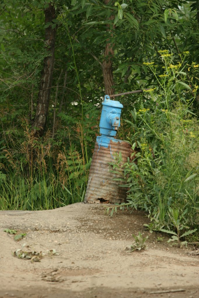 Колонка (ул. Ленинградская)