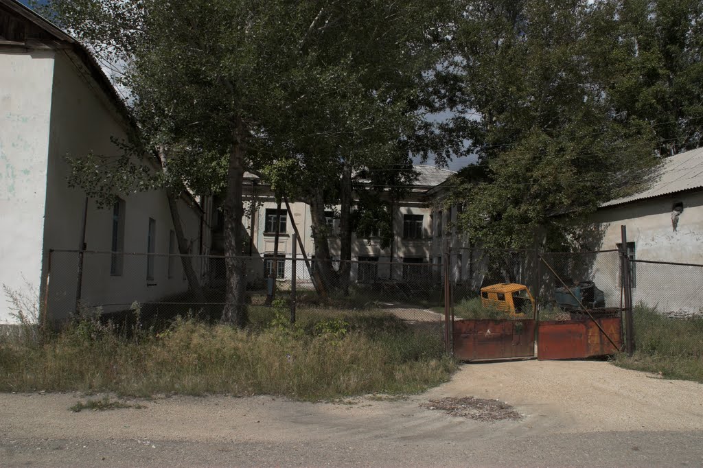 2007 год