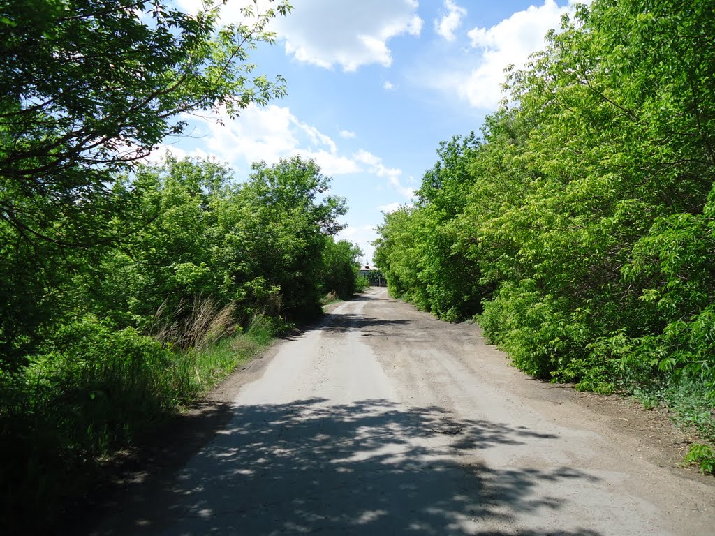 ул. Степная.
