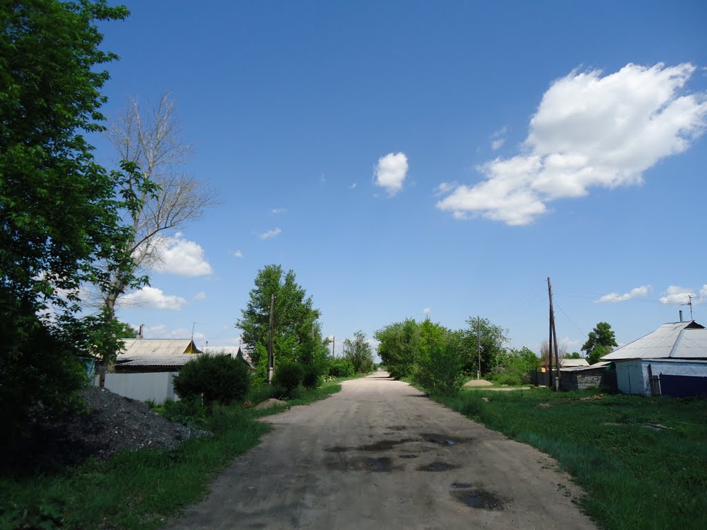 ул. Алтайская