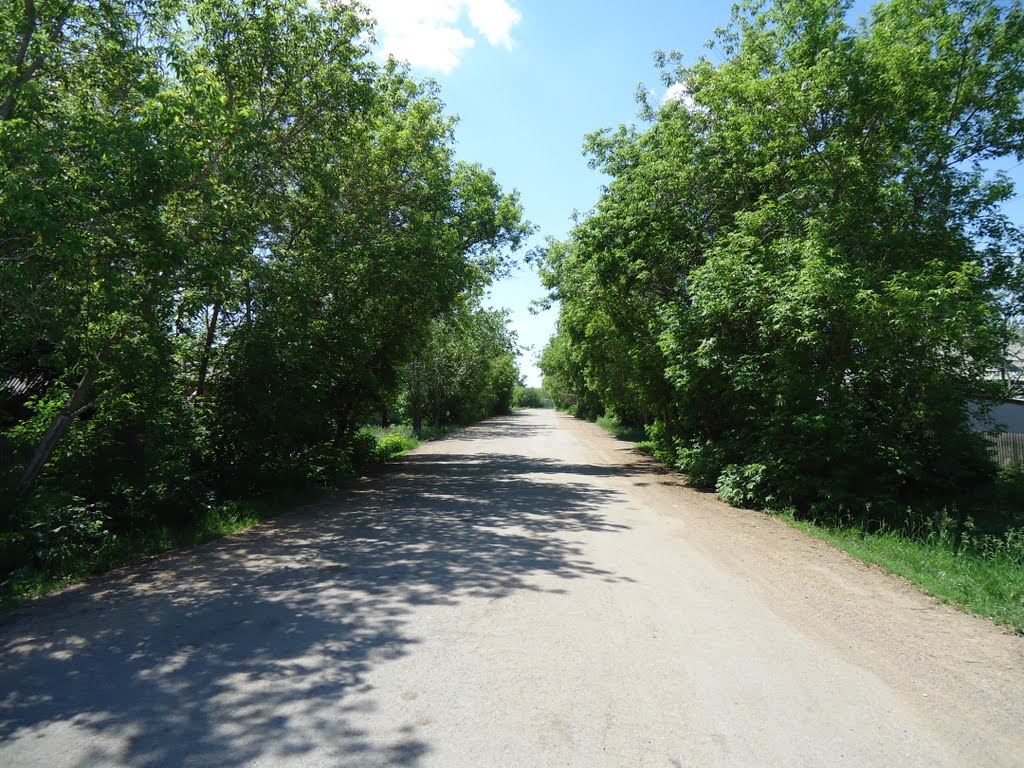 ул. Шахтерская