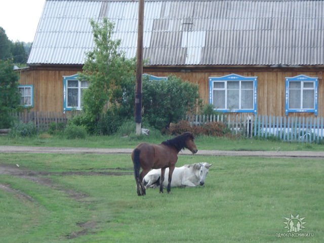 с.Залесово