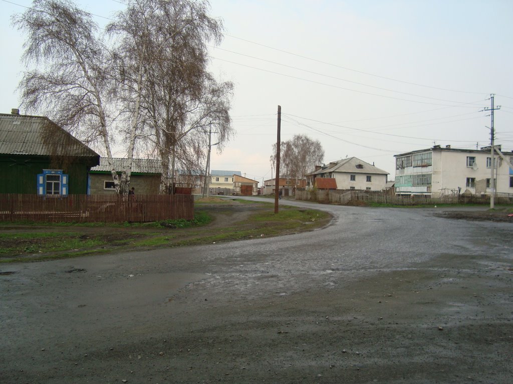 Часный сектор