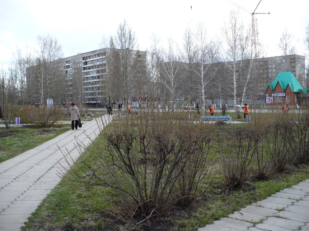 Здесь был парк