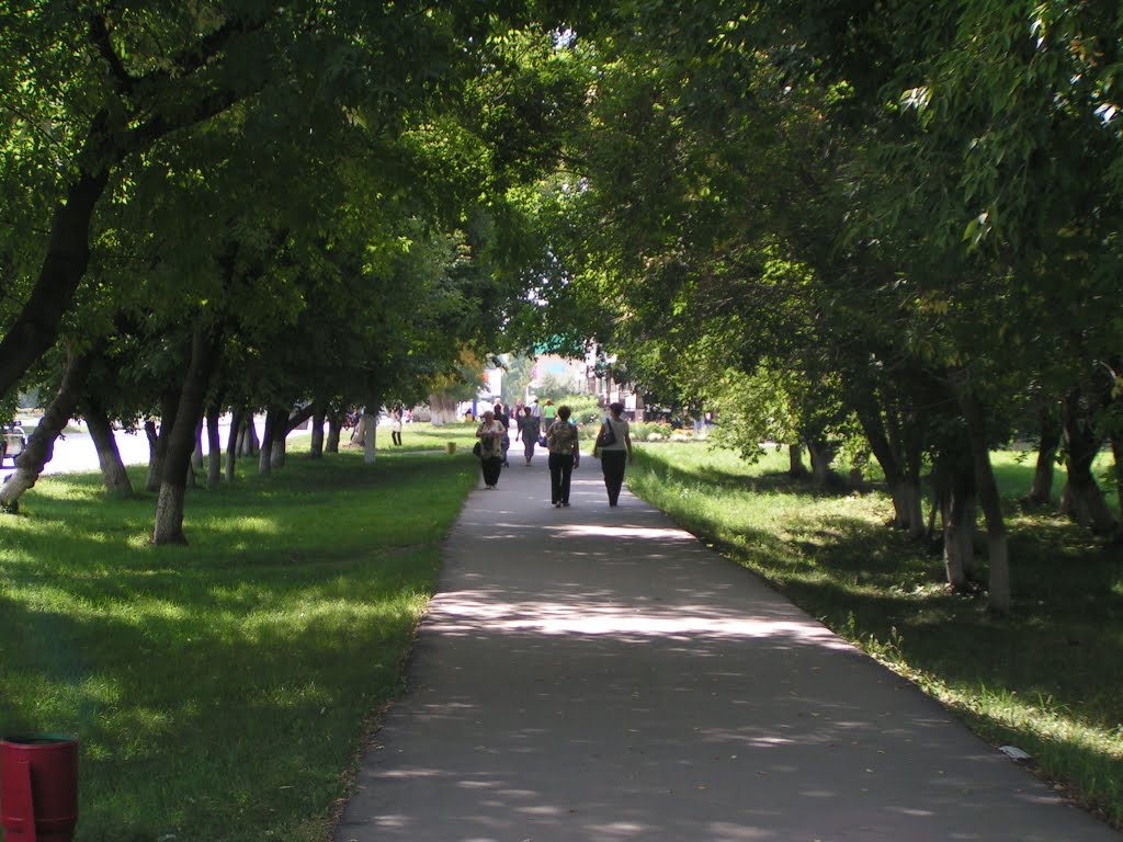 Аллея вдоль пр.Строителей