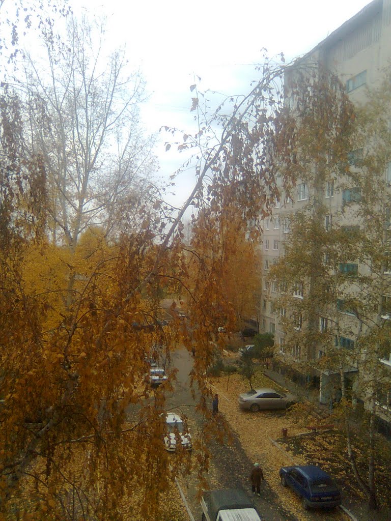 Осень в Заринске