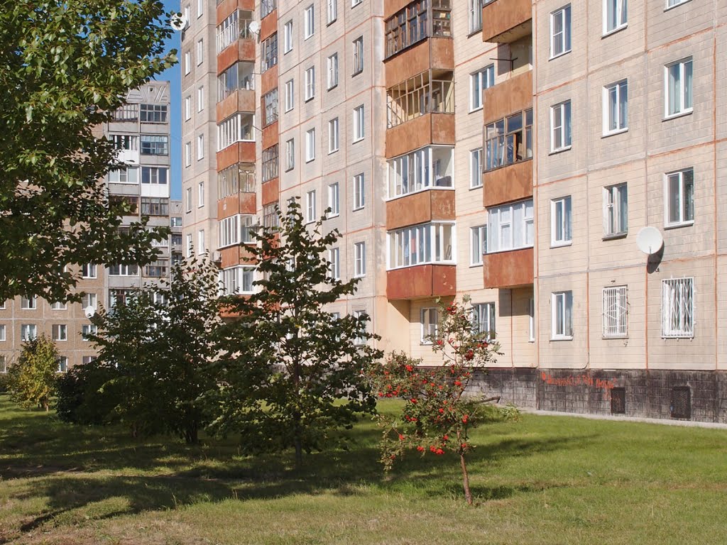 Улица 40 лет Победы