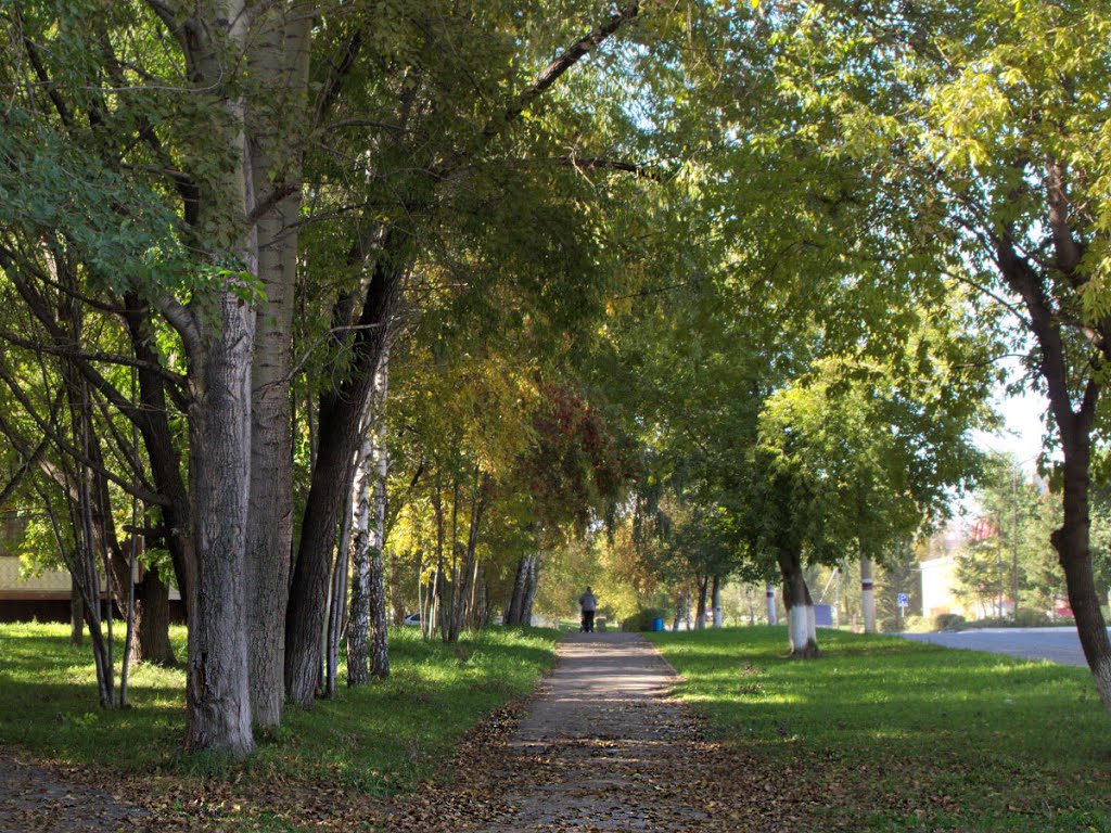 Улица XXV Партсъезда