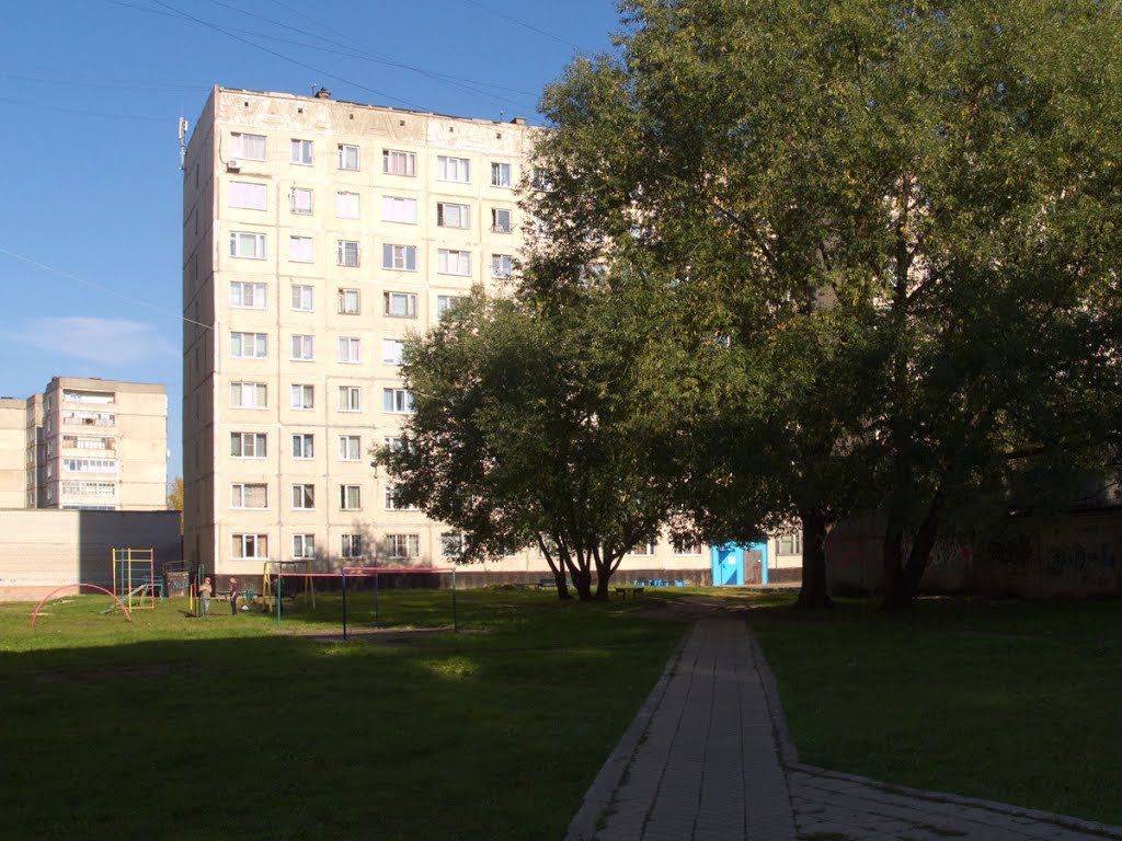 Зеленые дворы Заринска