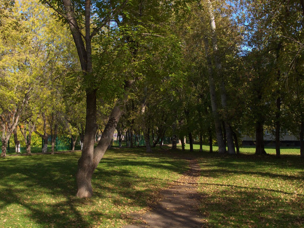 Зеленые дворы Заринска