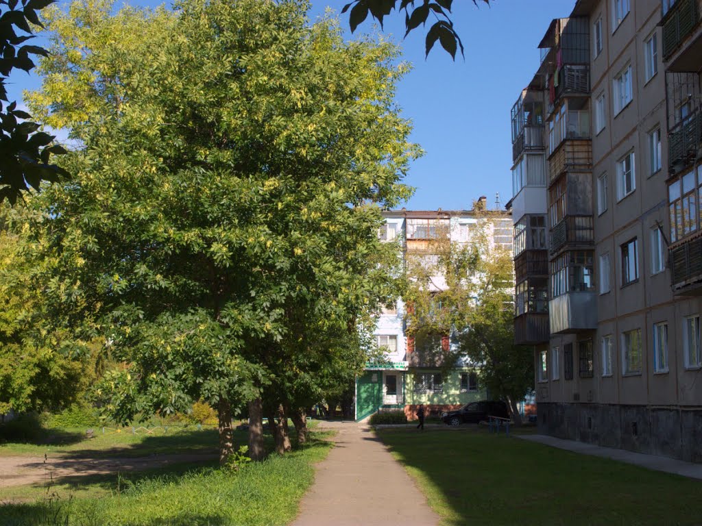 Зеленые дворы Заринска
