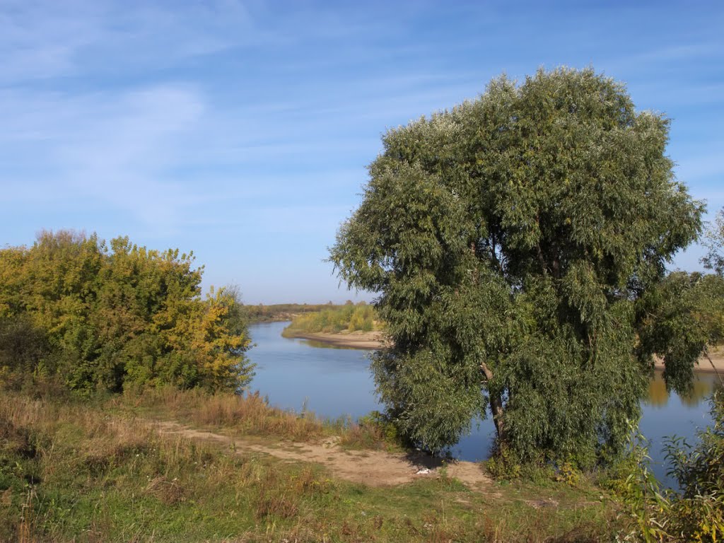 На берегу Чумыша