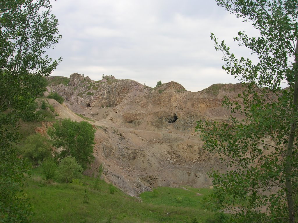 Змеиногорск