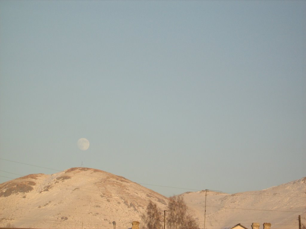 Moon