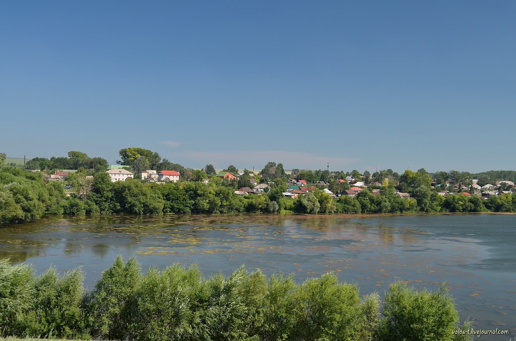 Пруд в Змеиногорске (июль 2012г.)