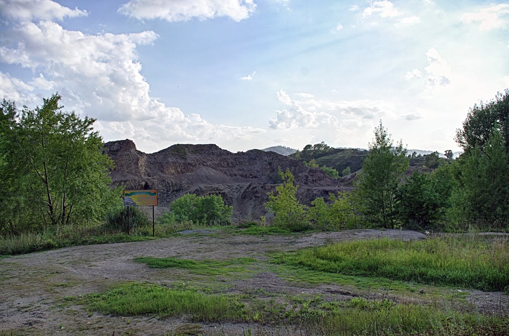 Змеиногорск. Суперкарьер. Памятник истории.