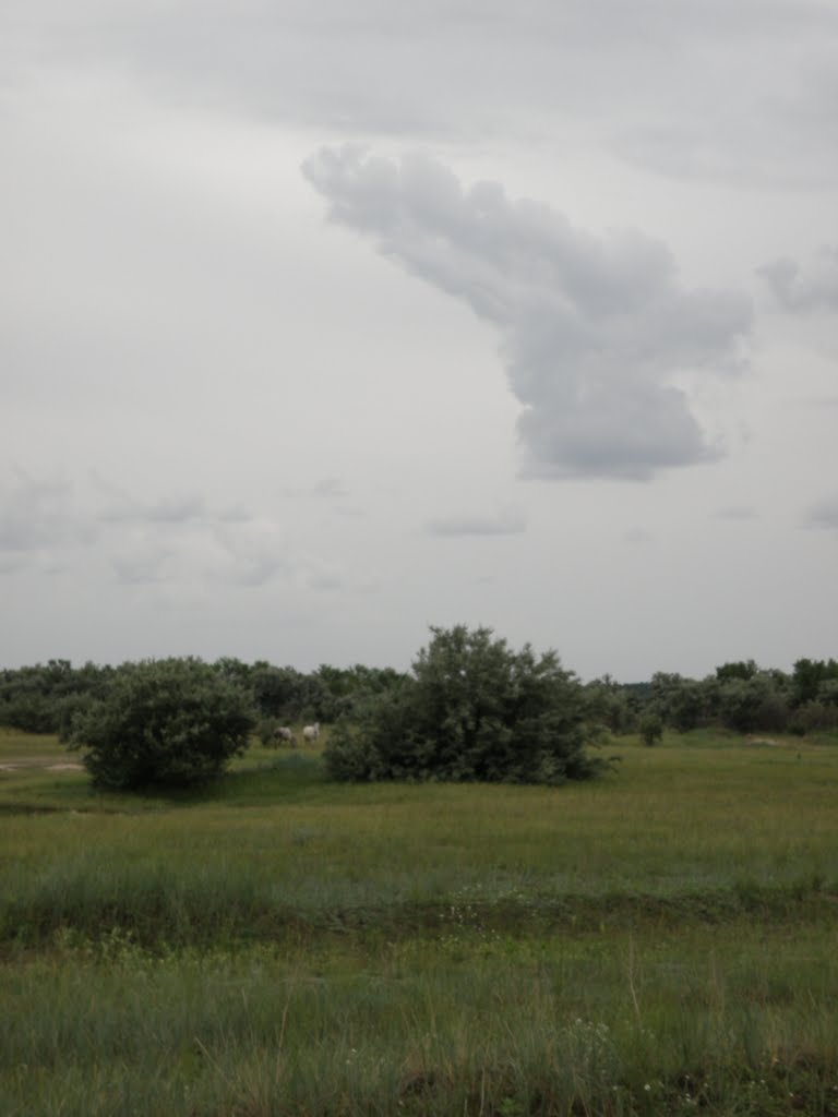 Серое небо