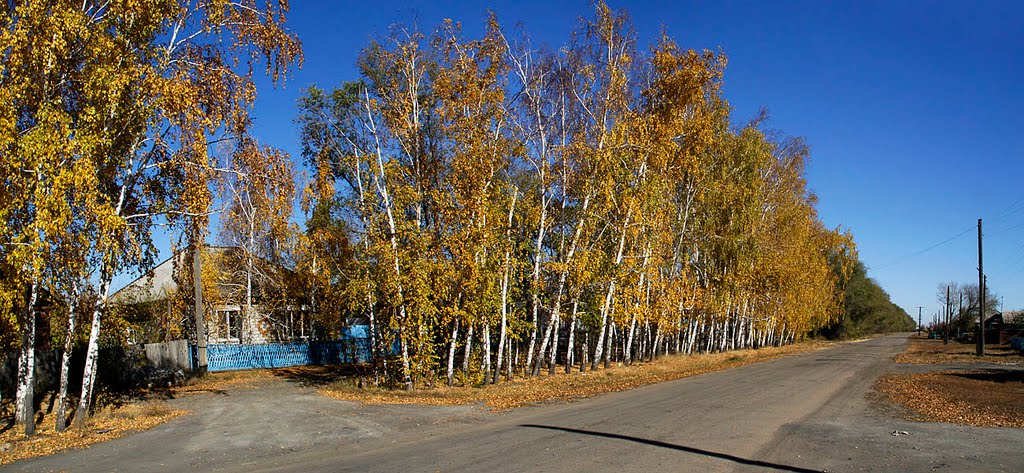 Altaysky Krai, Klyuchi, ul. Belinskogo; Алтайский край, село Ключи, осень на улице Белинского