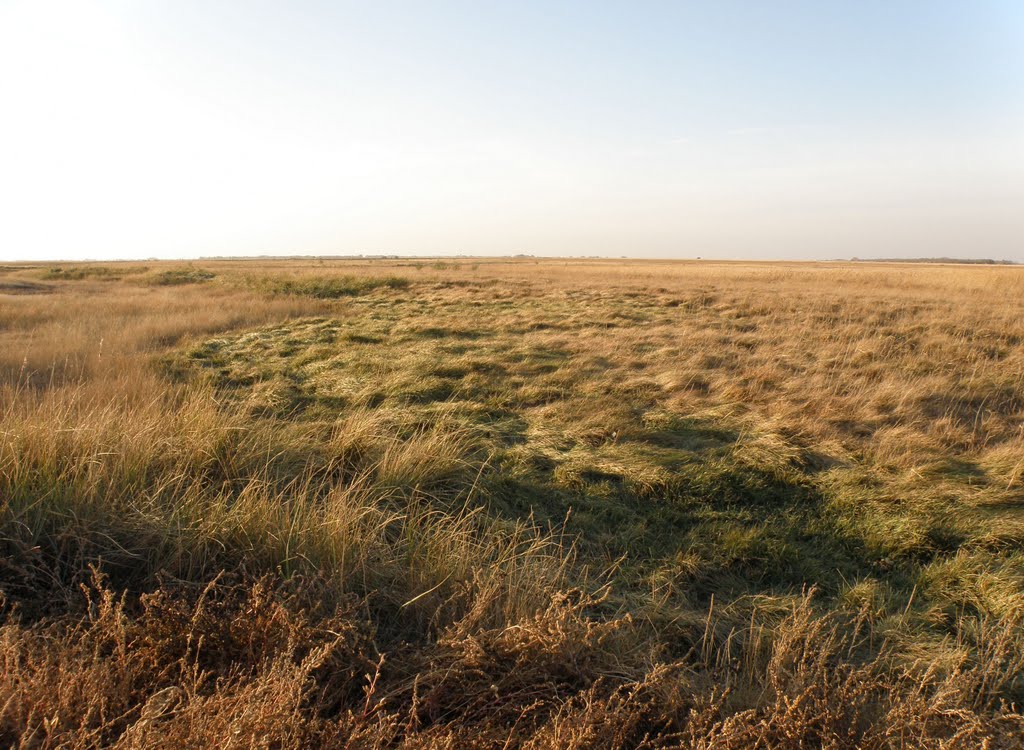 Примятая трава