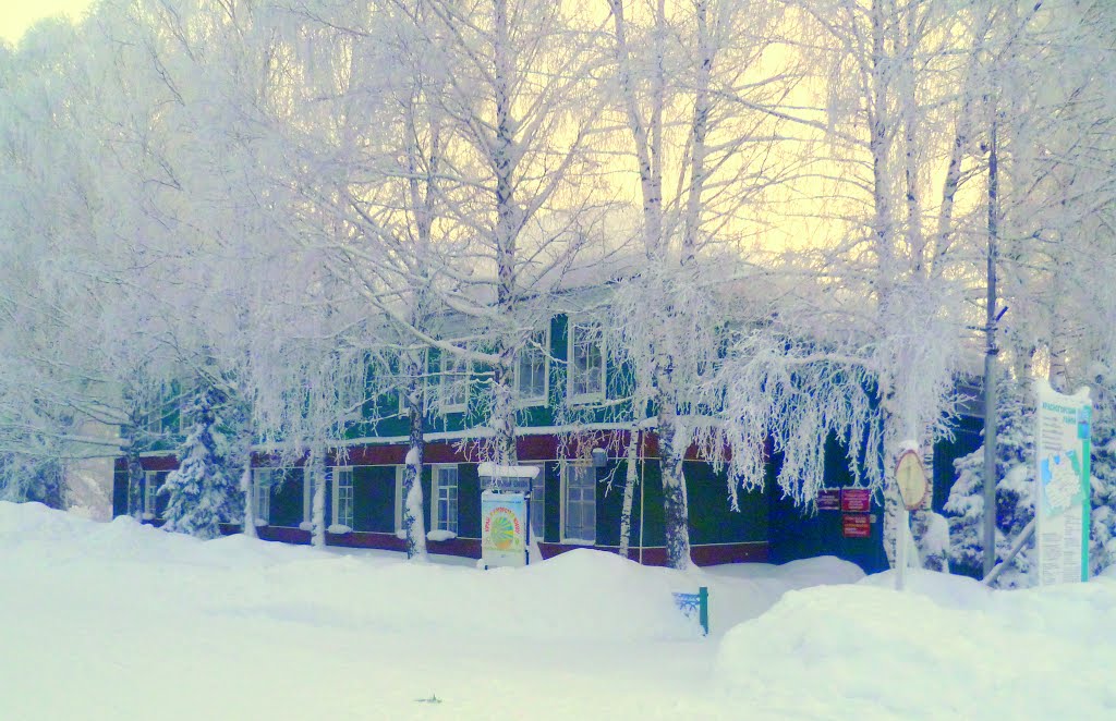 Село Красногорское,библиотека