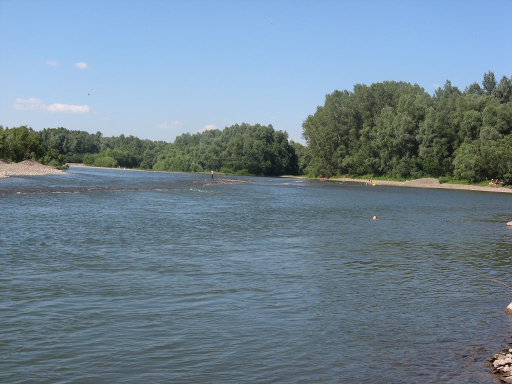 река Чарыш