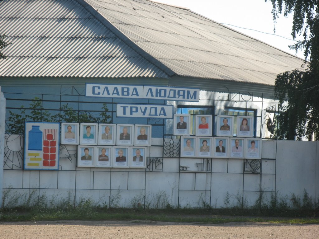 доска почета села Краснощеково