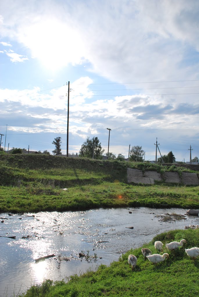 Krasnoshchekovo