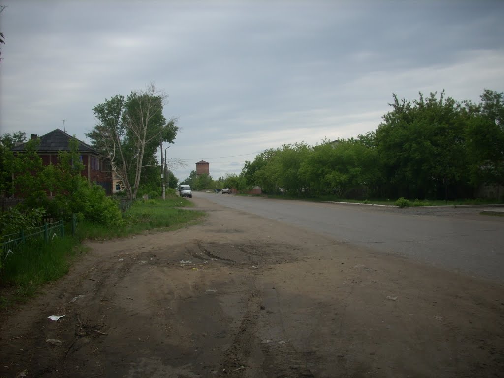Улица Целинная