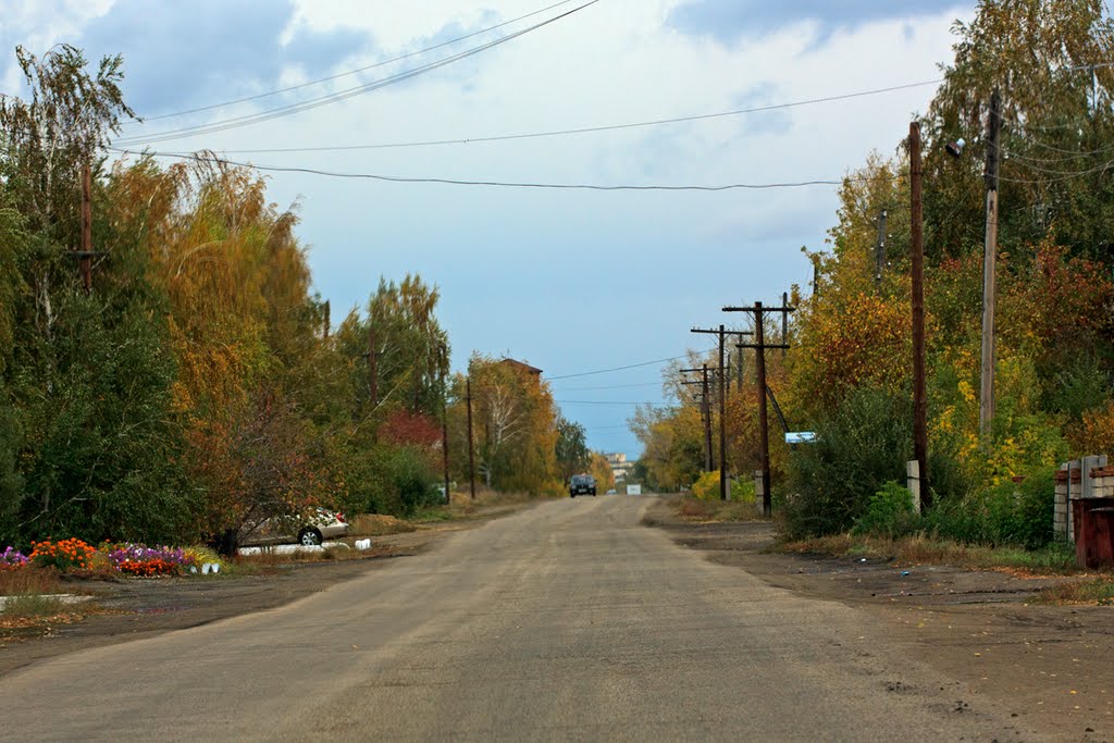 В Кулунде