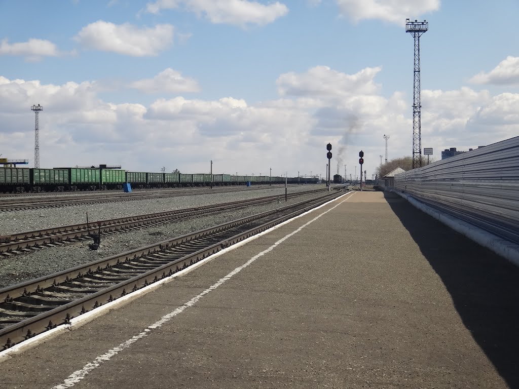 Станция Кулунда, Вид на восток