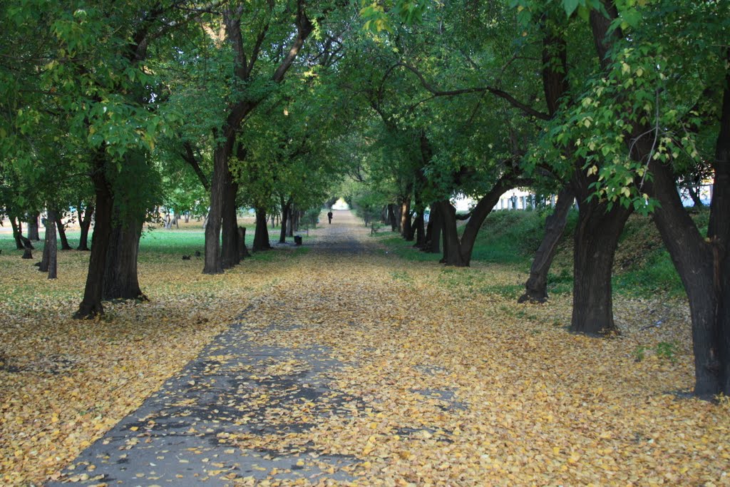 В городском парке