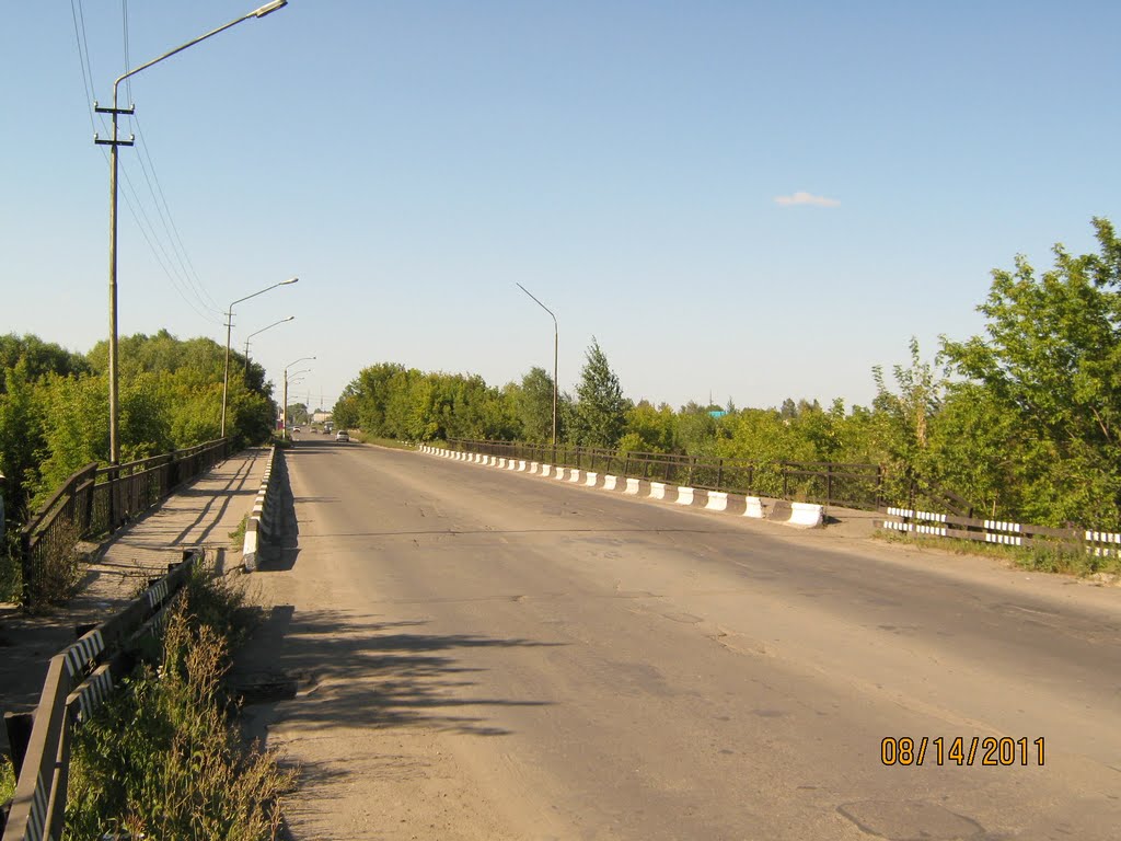 Мост через р. Чесноковку