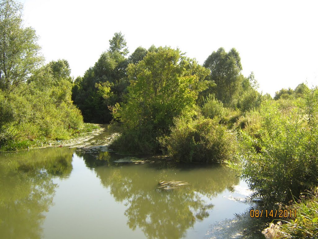 Речка Чесноковка