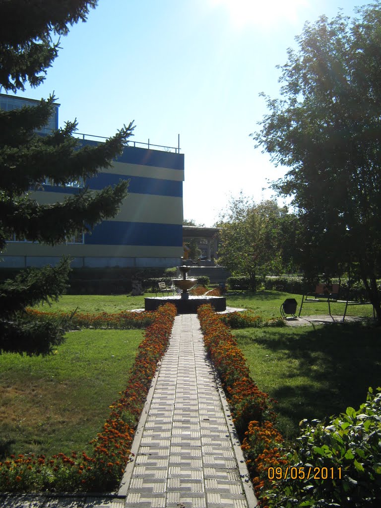 Дорожка к фонтану