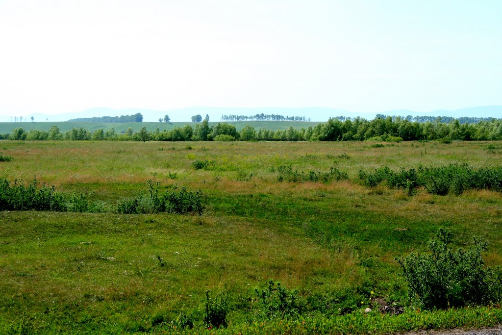 Green Hills near Red Eagles