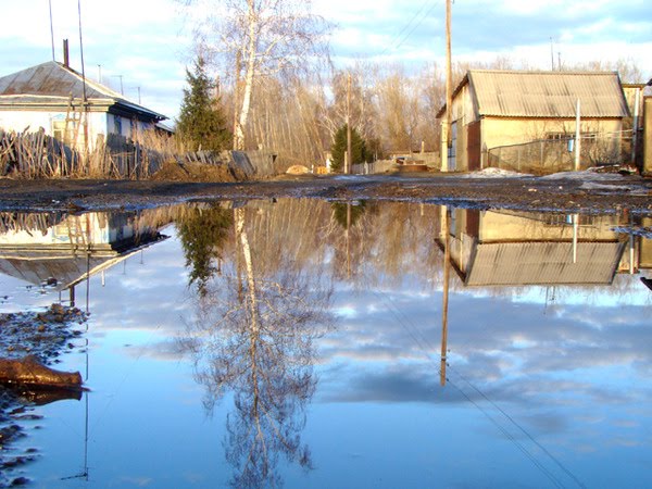 Петропавловское весеннего разлива Фото И.Скорлупина