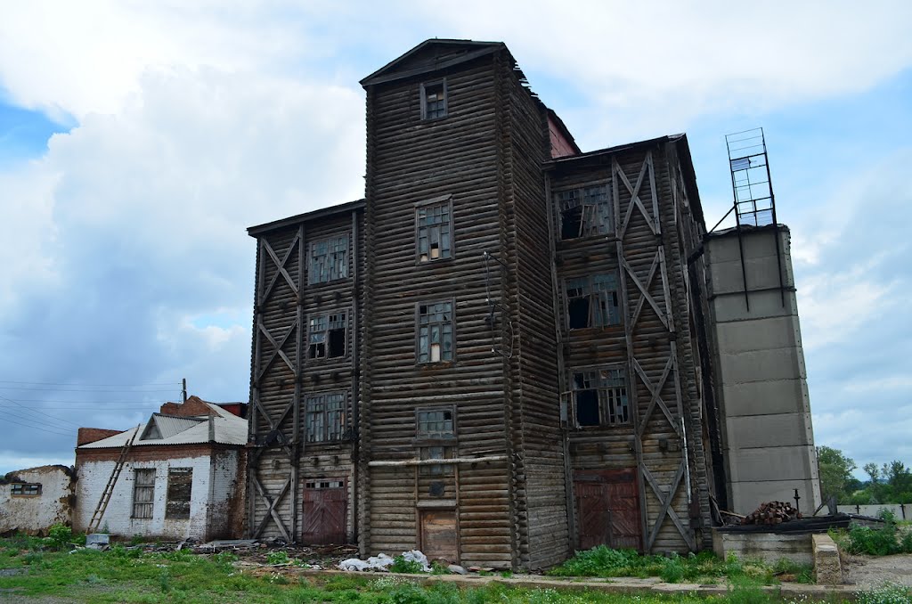 Деревянный небоскреб в с.Поспелиха (июль 2012г.)