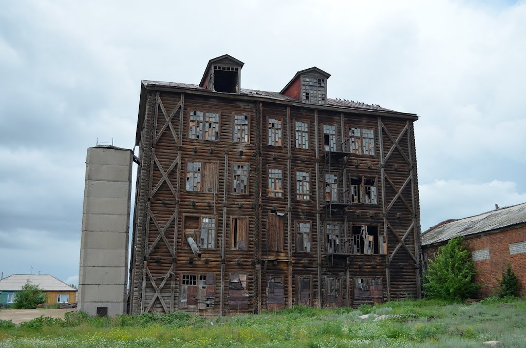 Деревянный небоскреб в с.Поспелиха (июль 2012г.)