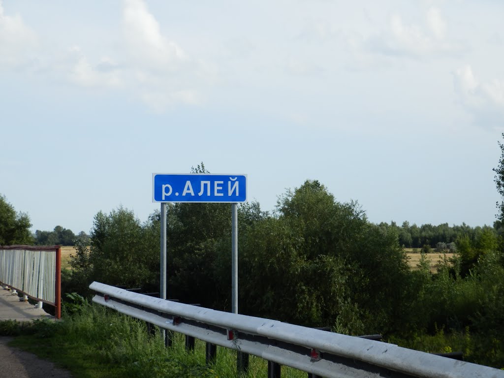 Мост через реку Алей.