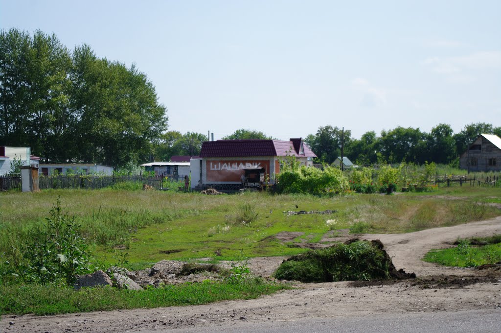Шашлык в Поспелихе.