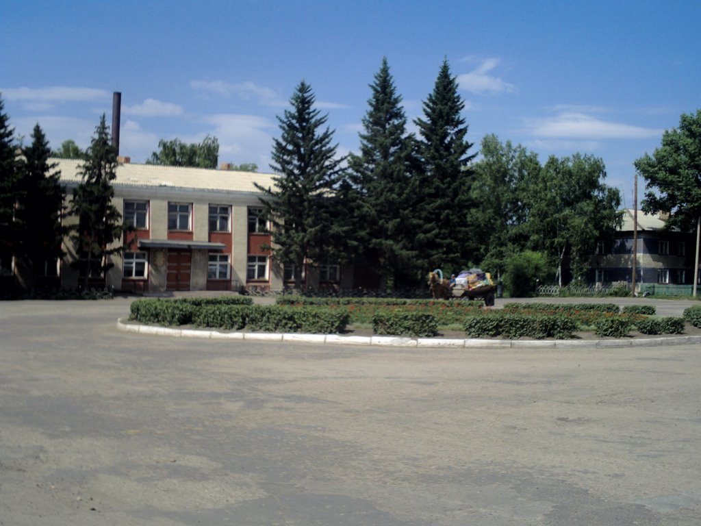 круговое кольцо