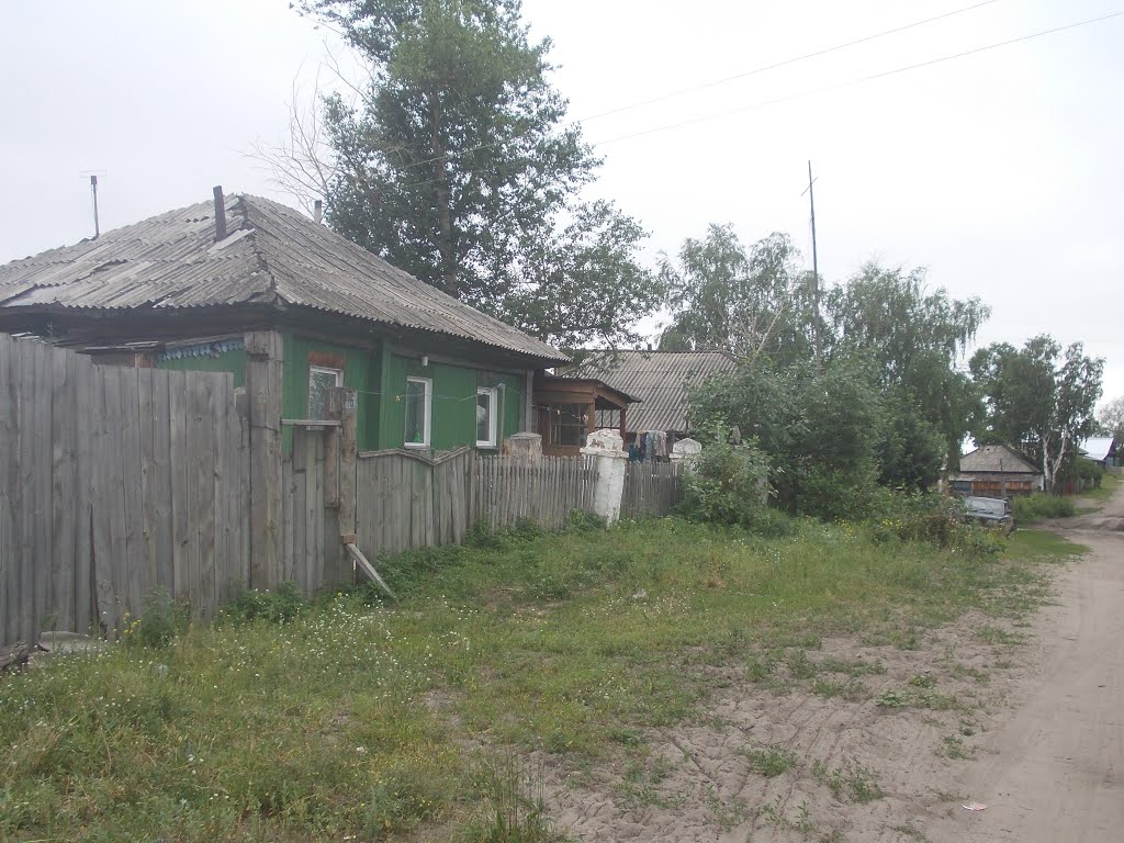 Дом Н.И. Величкиной.