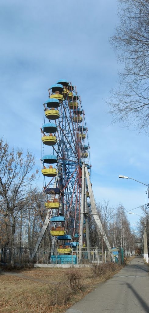 A Ferris Wheel in the Kirovs Park. 2010 November