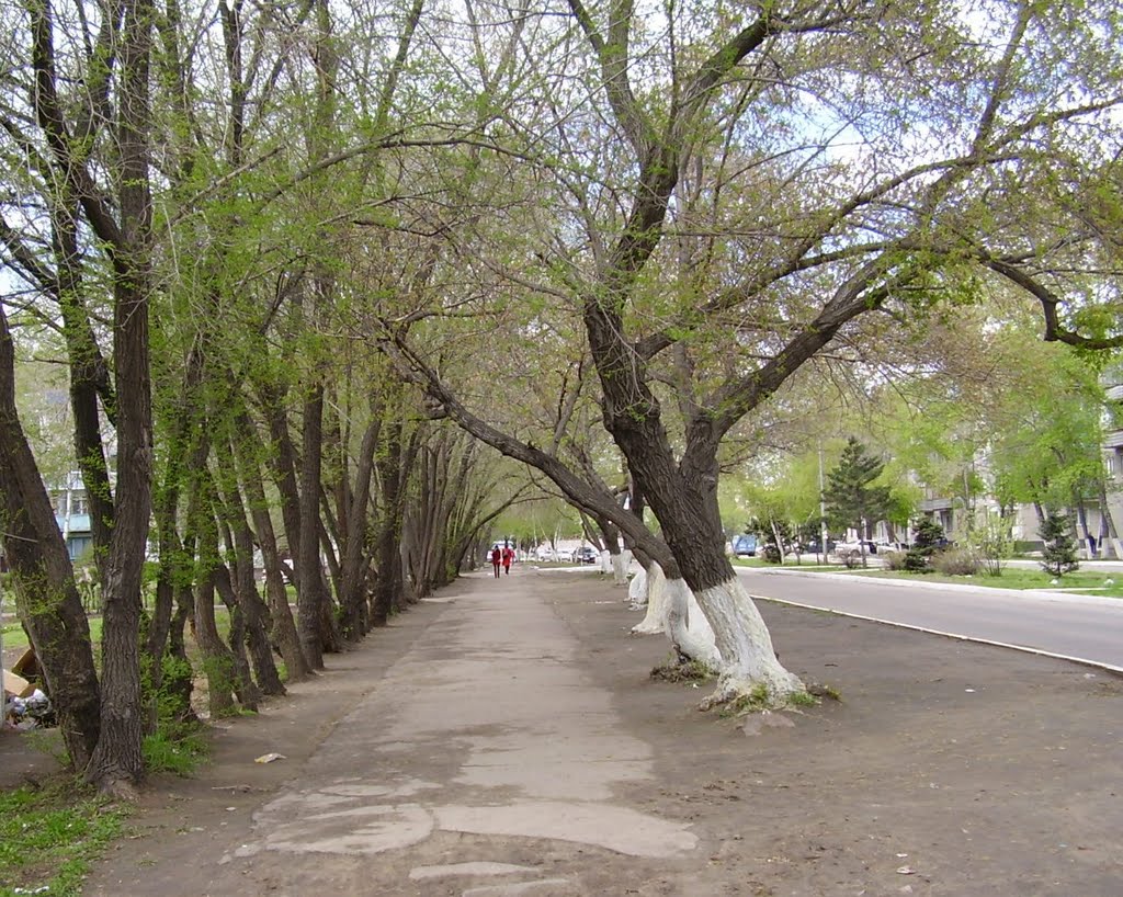 аллея