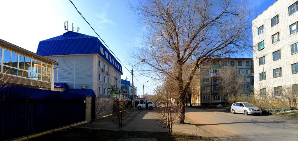 улица Королева. Рубцовск.
