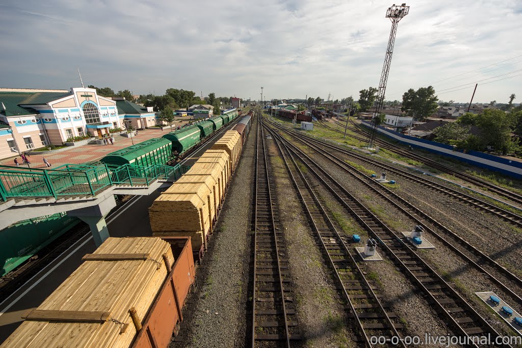 Train station in Rubtsovsk, view to the south, summer 2012