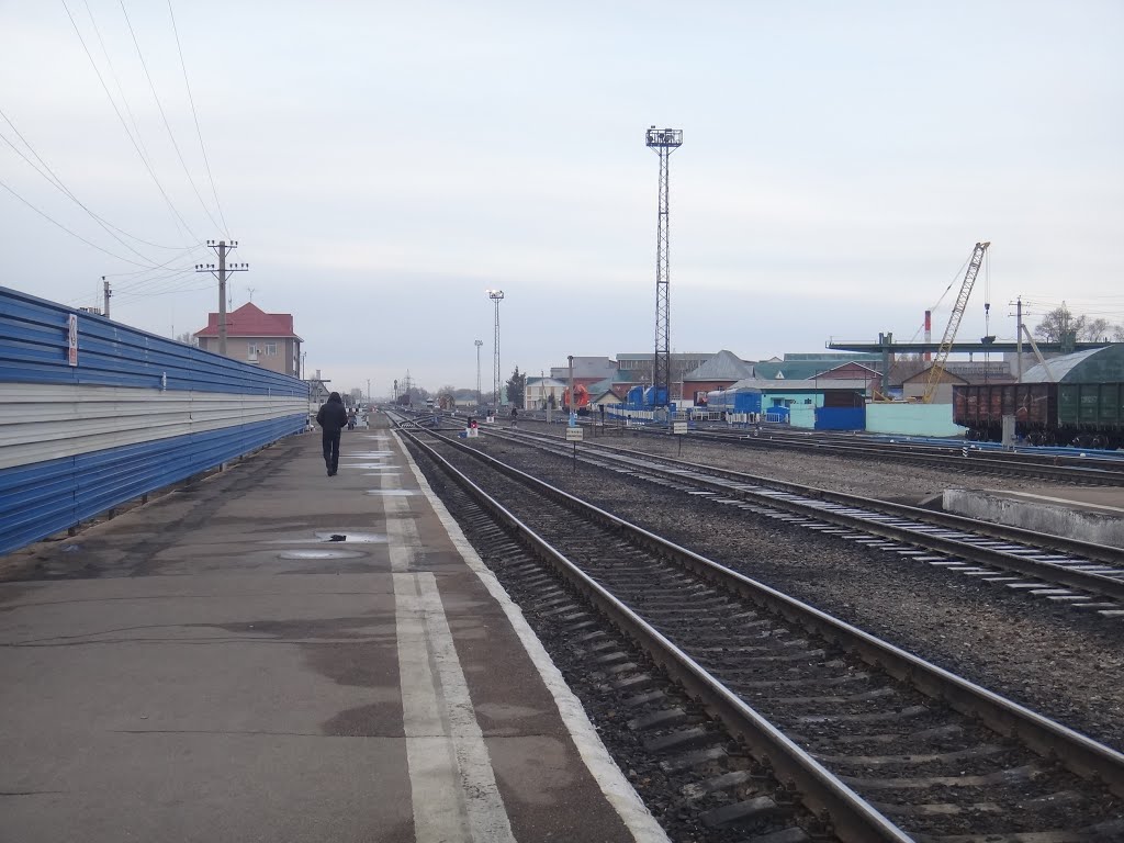 Станция Рубцовск, Нечётная горловина