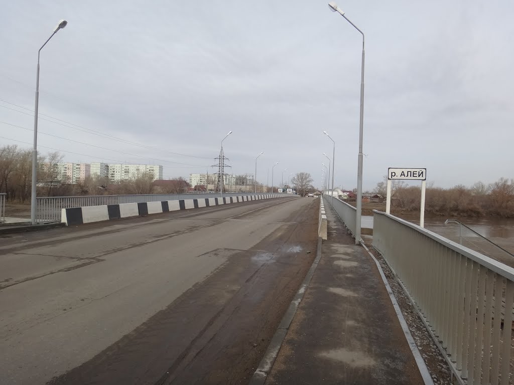 Мост через Алей