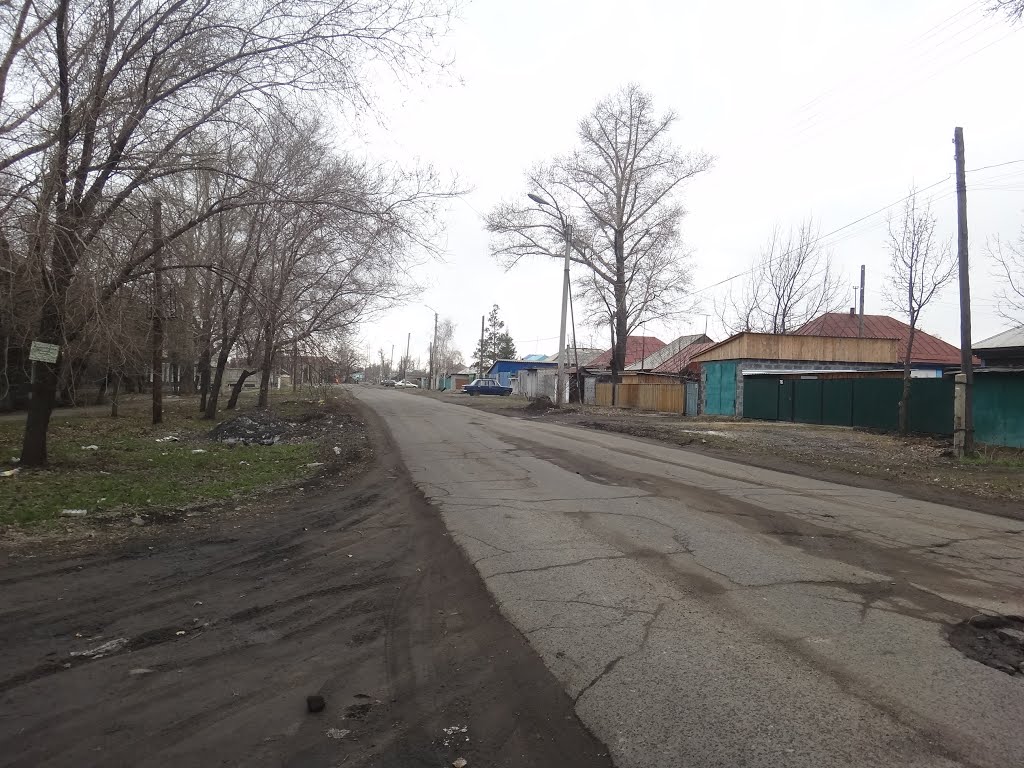 Улица Путевая
