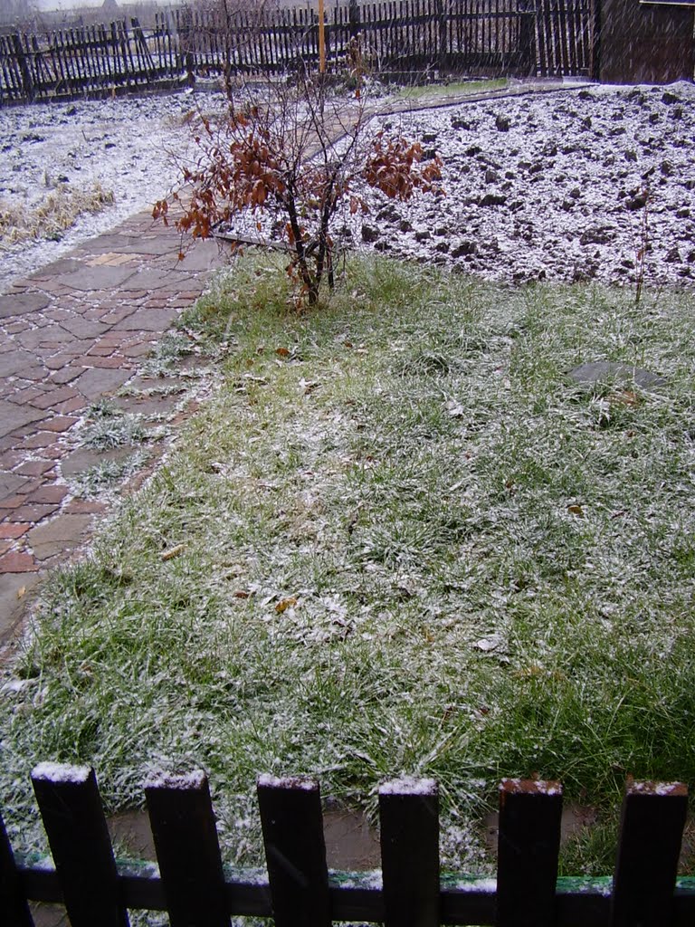 первый снег